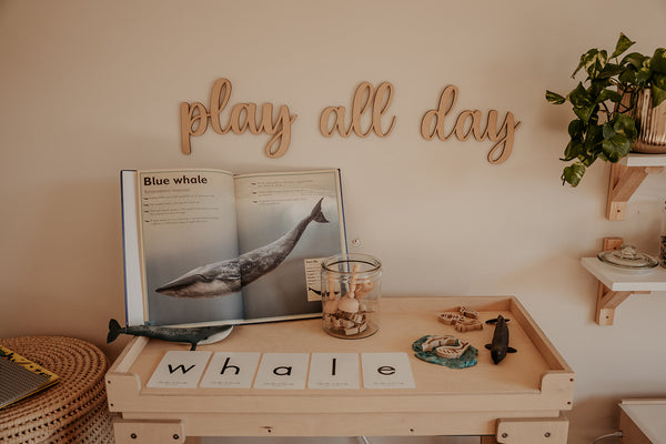 Birch Activity Table