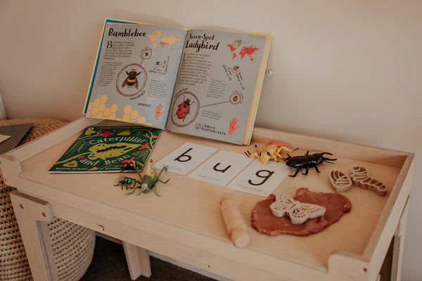 Birch Activity Table