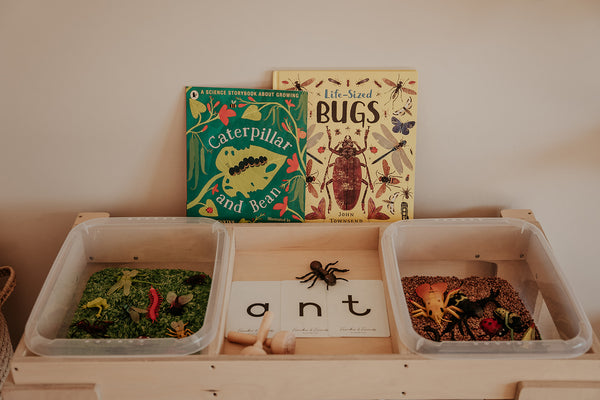 Birch Activity Table