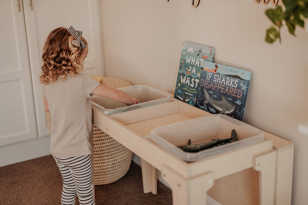 Birch Activity Table