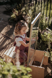Birch Perspex Easel