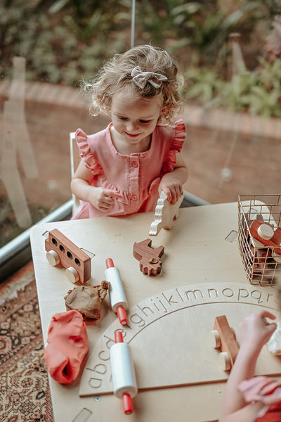 Birch Toddler Table and Chair Set